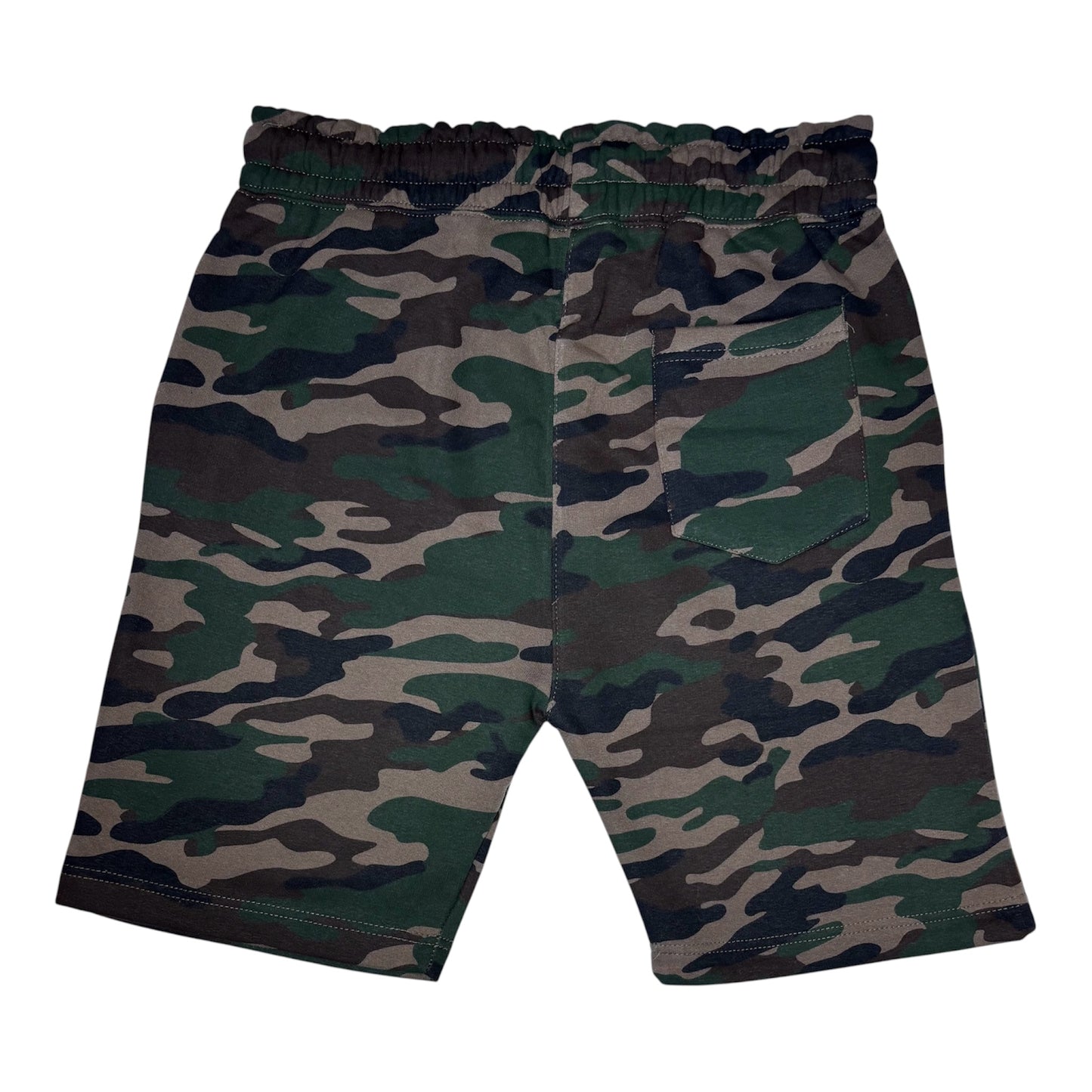 Benjamin Avenue Shorts- Camo